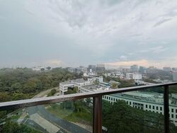 Normanton Park (D5), Apartment #554133931